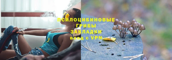 ПСИЛОЦИБИНОВЫЕ ГРИБЫ Нея